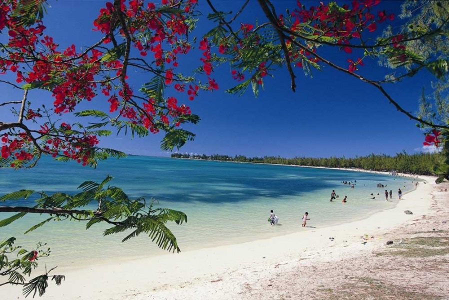Mauritius przyroda plaża