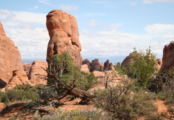Moab – Arches – Bryce / 400 km (4.5h) 