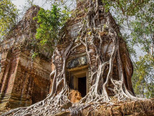Wietnam i Kambodża - zjawiskowa przyroda i tajemnicze świątynie Angkoru