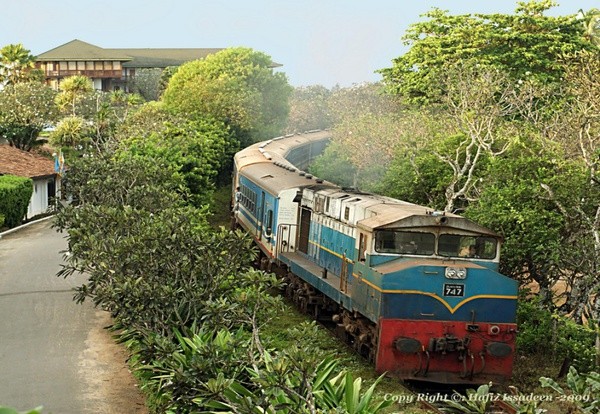 Przejazd pociągiem – Równiny Hortona – plantacja herbaty – Kandy (120 km) śniadanie, kolacja