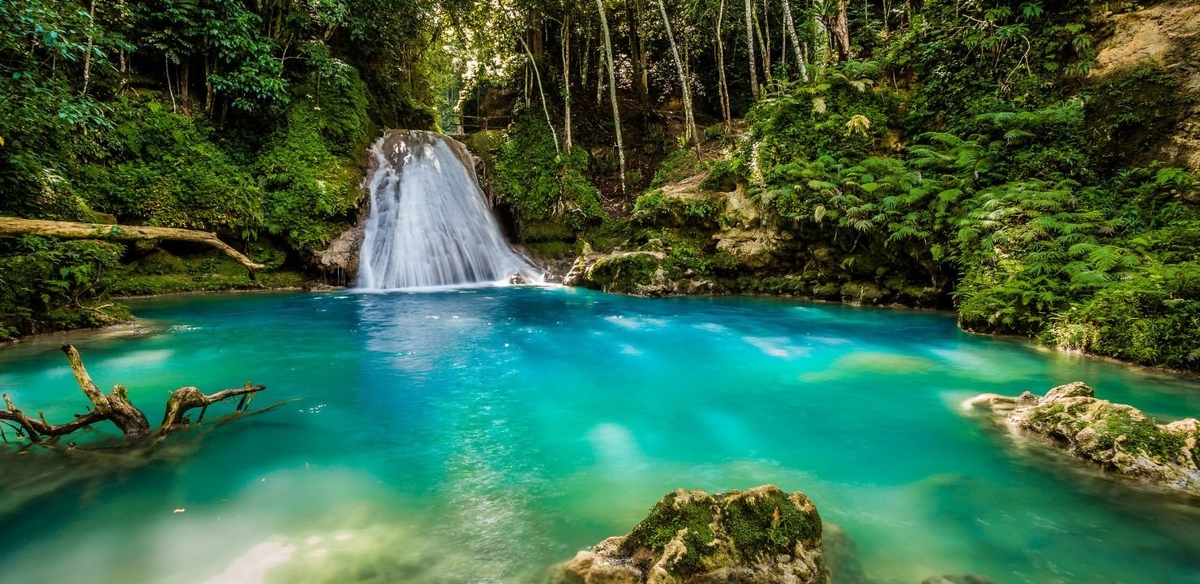Najciekawsze, wyjątkowe i najlepsze hotele na Jamajce
