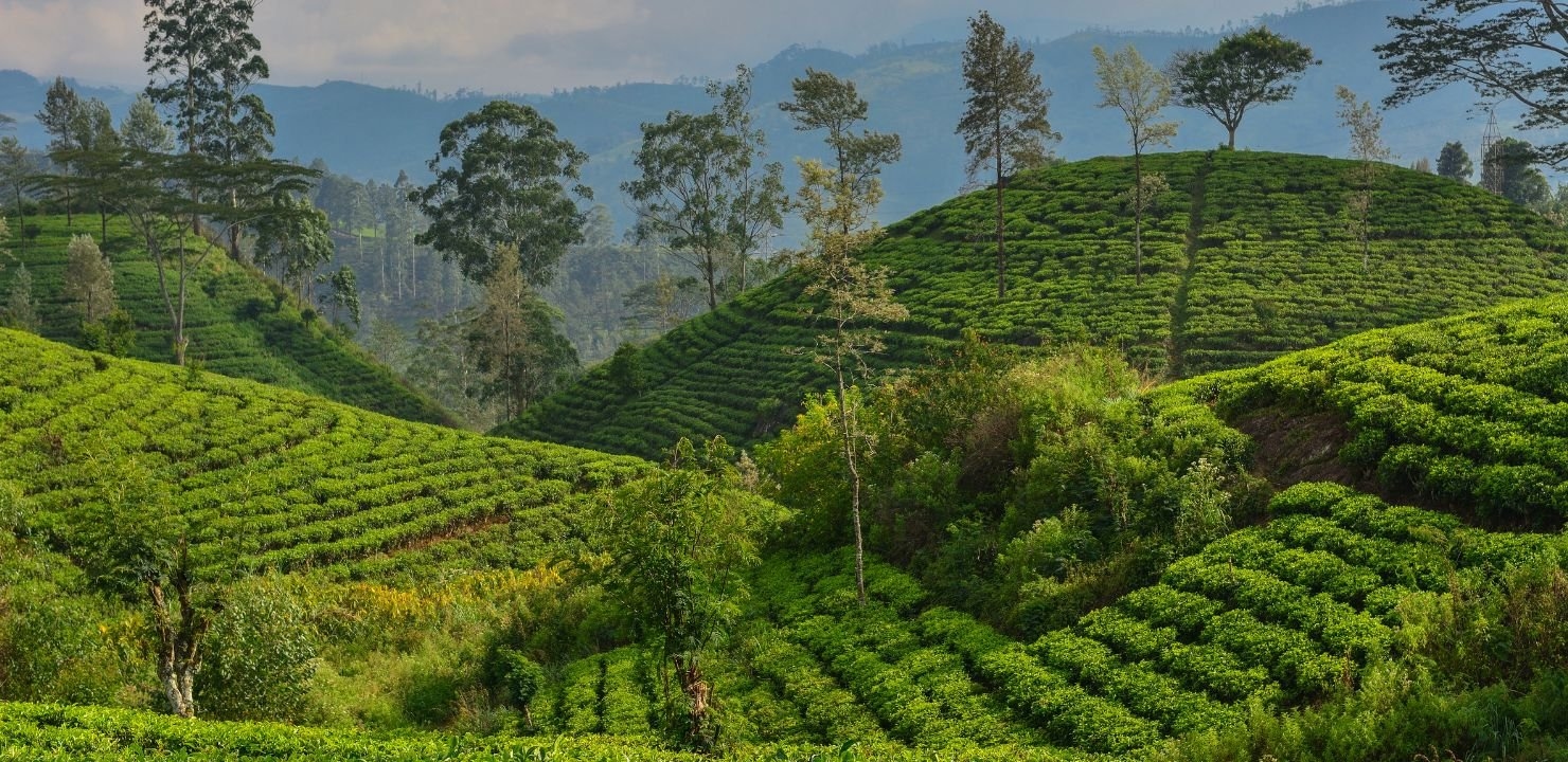 sri-lanka