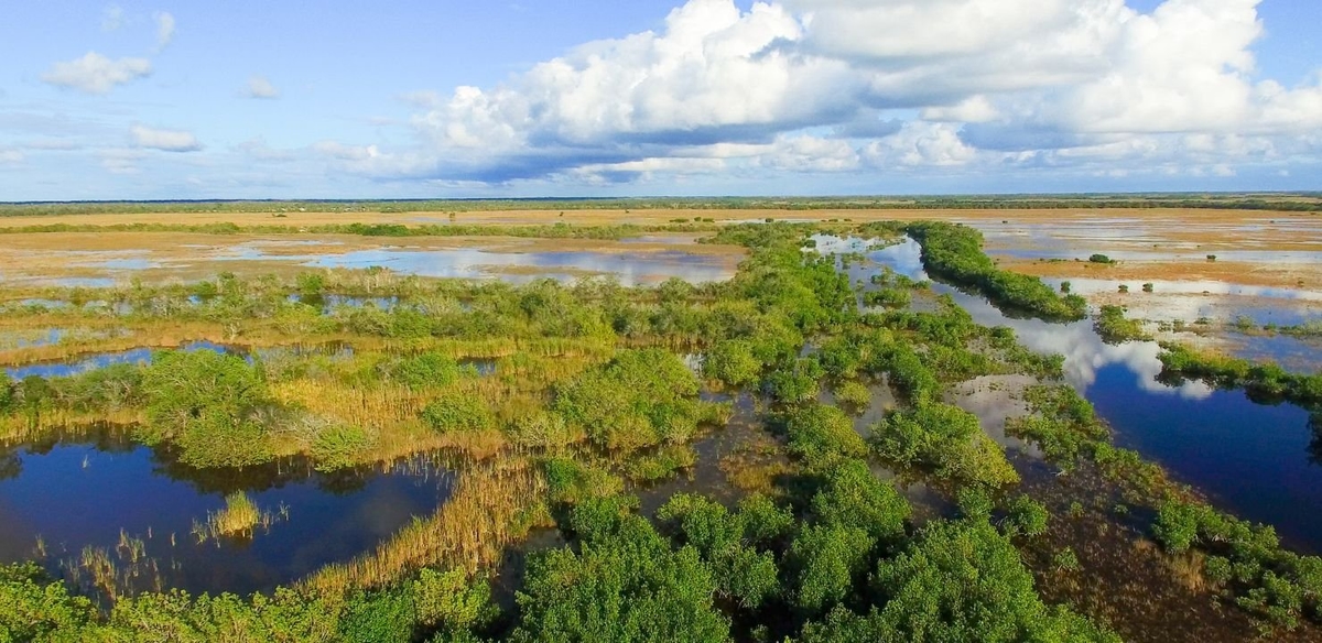Everglades 