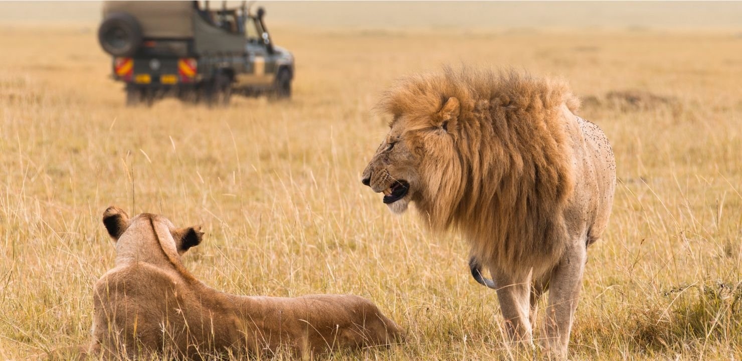 Safari w sercu Delty Okawango