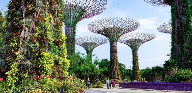 Singapur 