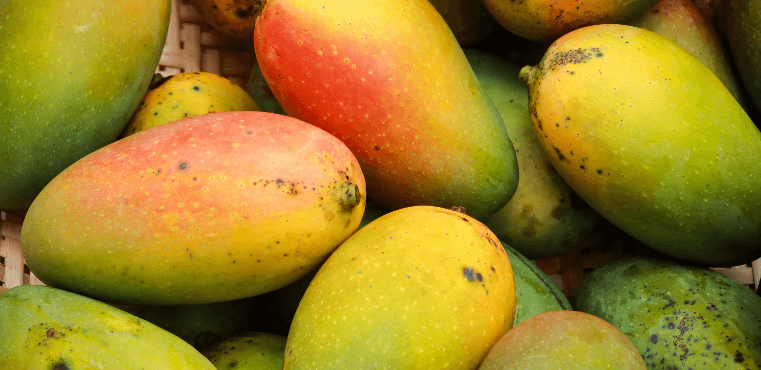 filipiny-przewodnik-dla-podrozujacych