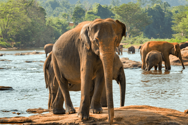sri-lanka