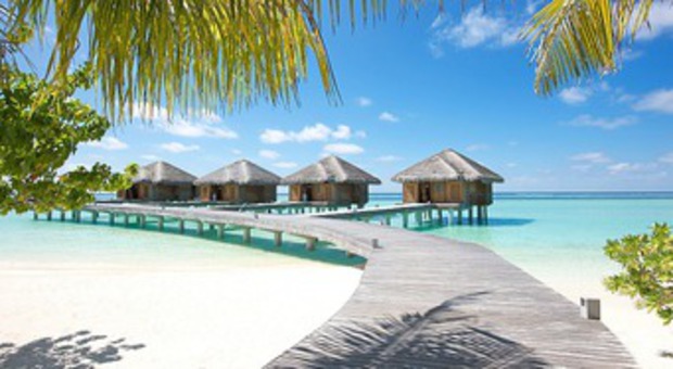 Mówisz Malediwy - wakacje masz ma myśli...