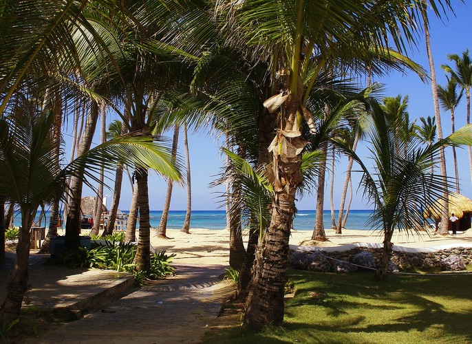 Lokalna plaża w Dominikanie