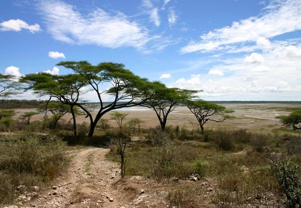 Arusha - Lake Manyara / 120 km