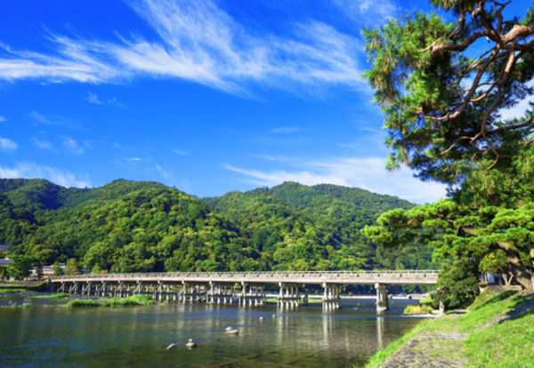 Las Bambusowy – Most Togetsukyo – Złoty Pawilon Kinkakuji – Targ Nishiki