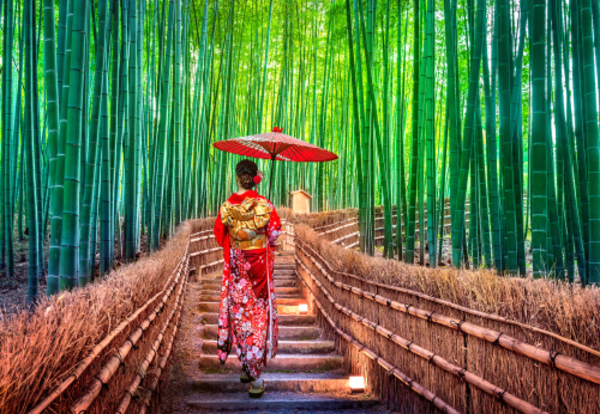 Las Bambusowy – Most Togetsukyo – Złoty Pawilon Kinkakuji – Targ Nishiki