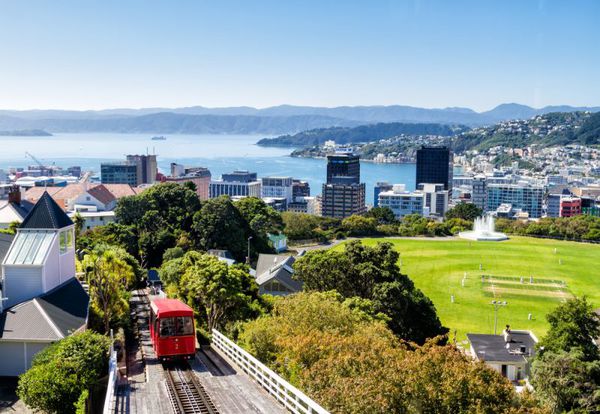 Wellington, Nowa Zelandia (śniadanie, obiad, kolacja)
