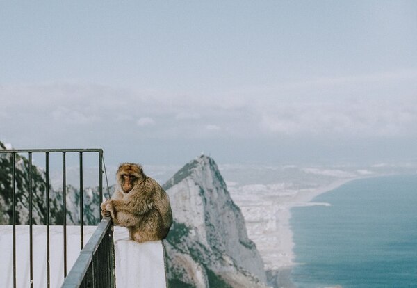 Gibraltar, Wielka Brytania