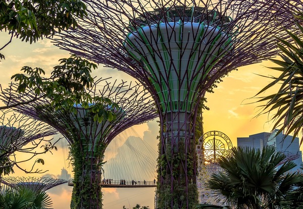 Singapur. Wycieczka półdniowa „Zachwyć się Singapurem”.