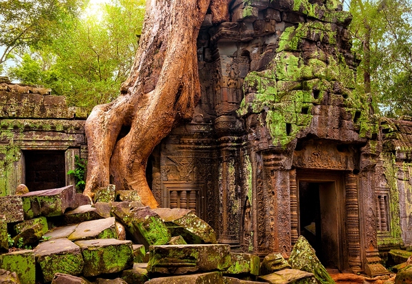Kompleks świątyń Angkor (Kambodża)