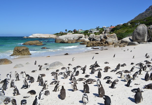 Kapsztad / Cape Town, RPA 