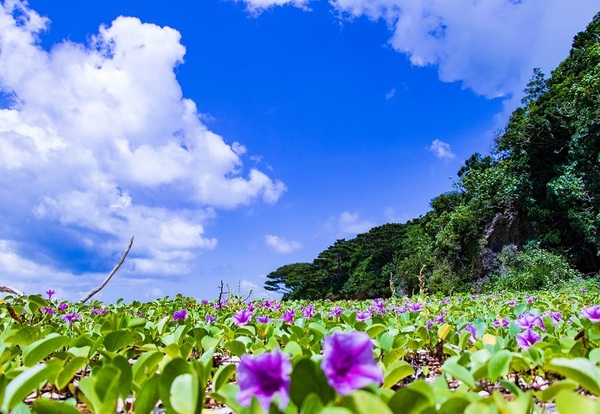 Ishigaki (Okinawa), Japonia 