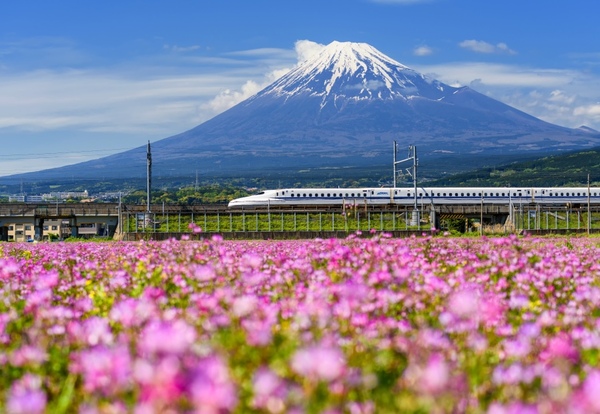 Mt Fuji (Shimizu), Japonia